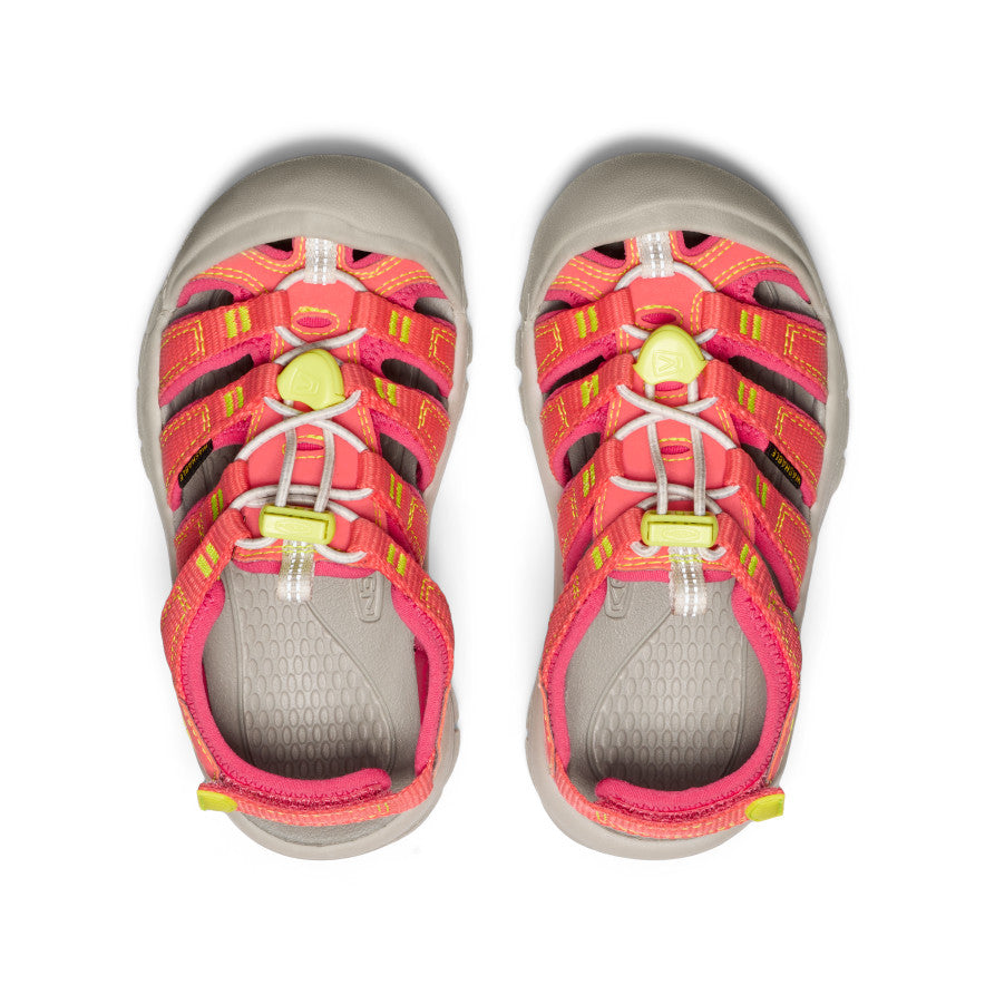 Little Kids' Newport Boundless Sandal | Dubarry/Evening Primrose - Image 4